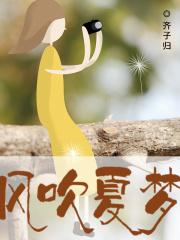 风吹一夏岚影