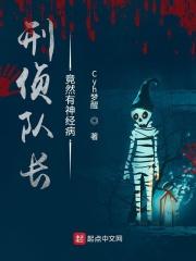 刑侦大队队长