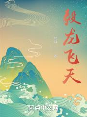 翼龙飞天