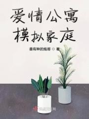 爱情公寓5虚拟家庭