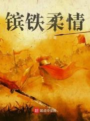 铁血柔情泪第几章有绿