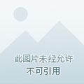 执宰大明精校版