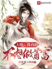 大明之我真不想败家