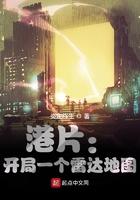 港片开局一个雷达地图起点