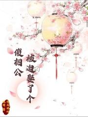 被迫嫁给傻后