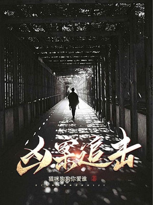 凶案追击美国电影免费观看