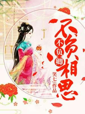 不负相思不负君的意思是什么