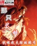 灵梦知乎