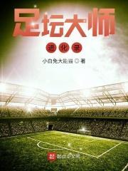 足球大师百度百科