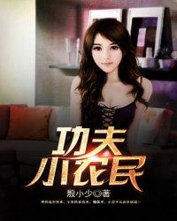功夫高手电影国语版