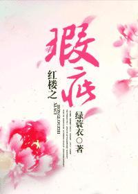 红楼之庶子百科