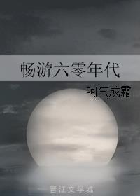 畅游60年代txt