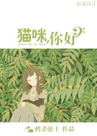 你好表情包猫咪