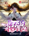有何贵干 云播