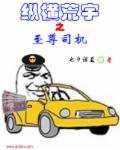 纵横之气