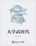 武时代摄像头