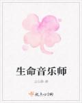 纯音乐生命
