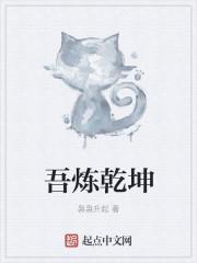 吾掌乾坤阅读
