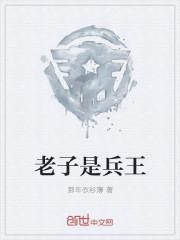 老子是帝兵免费