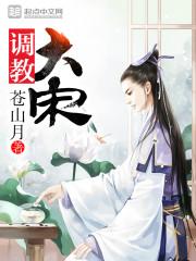 调教大宋TXT奇书网