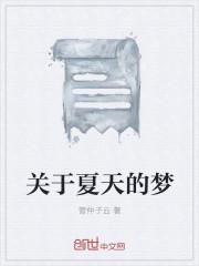 夏天的梦 歌词