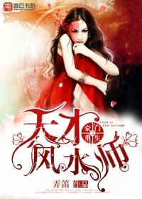 重生豪门之天才风水师完结