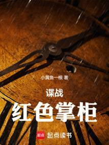 谍战红色掌柜