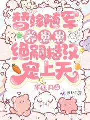 替嫁将军全文