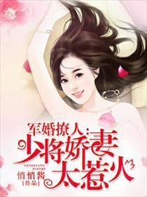 少将的军婚推荐
