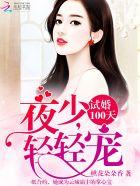 试婚100天夜少轻轻宠免费阅读全文