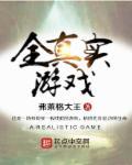 真实游戏中文版
