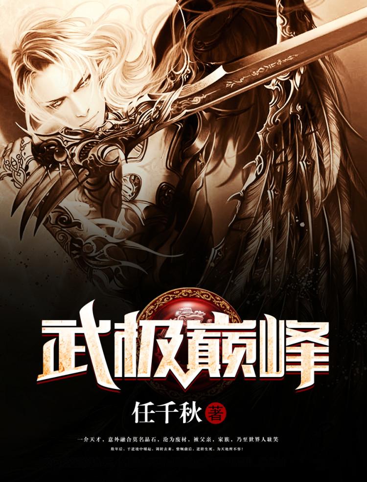 武极巅峰后传