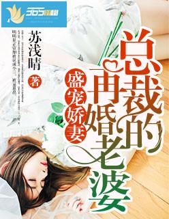盛世二婚总裁宠妻上瘾