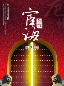 宦海危情全集有声