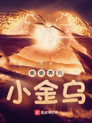 偷偷养只小金乌主角的魂宠