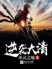 逆袭大清张瑞