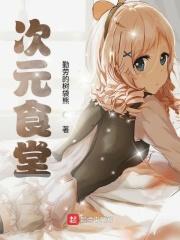 次元饭是啥意思