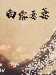 白露未晞翻译
