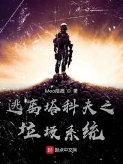 逃离塔科夫之垃圾系统 TXT