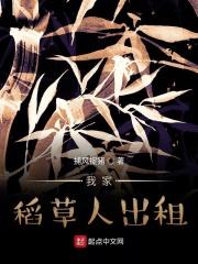 我的稻草人歌词