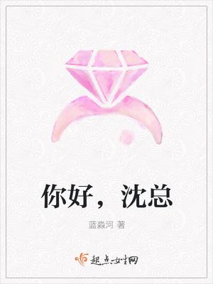 沈先生 作者乔川