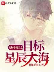 星际精灵宝可梦