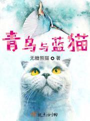 青鸟好看不