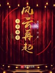 风云再起最高分视频